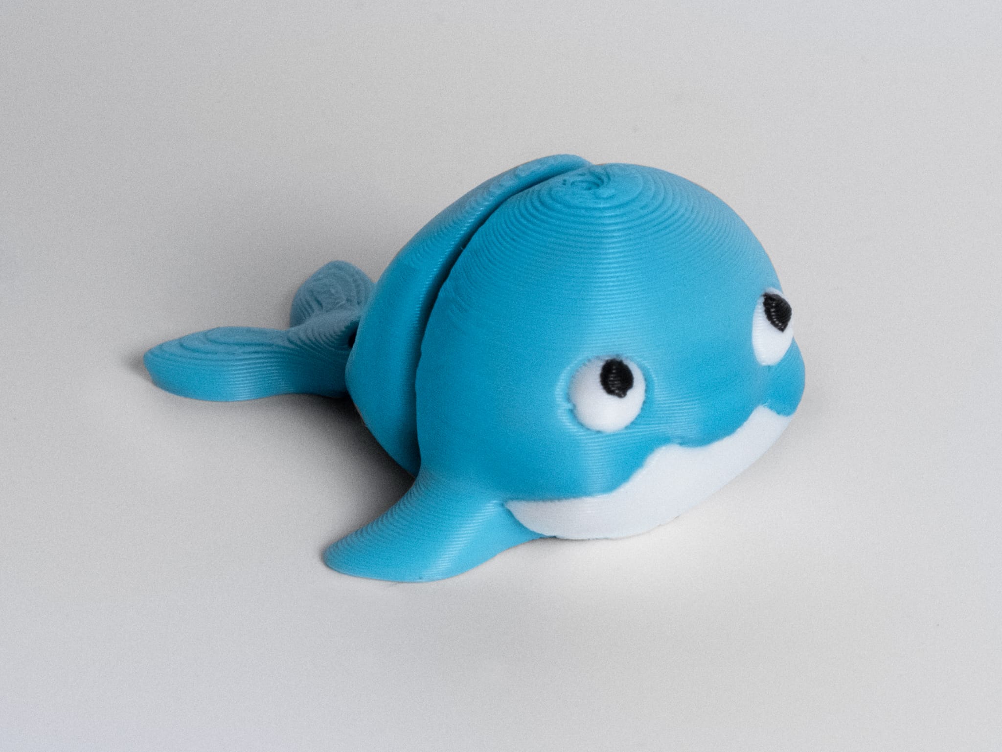 Mini Balina
